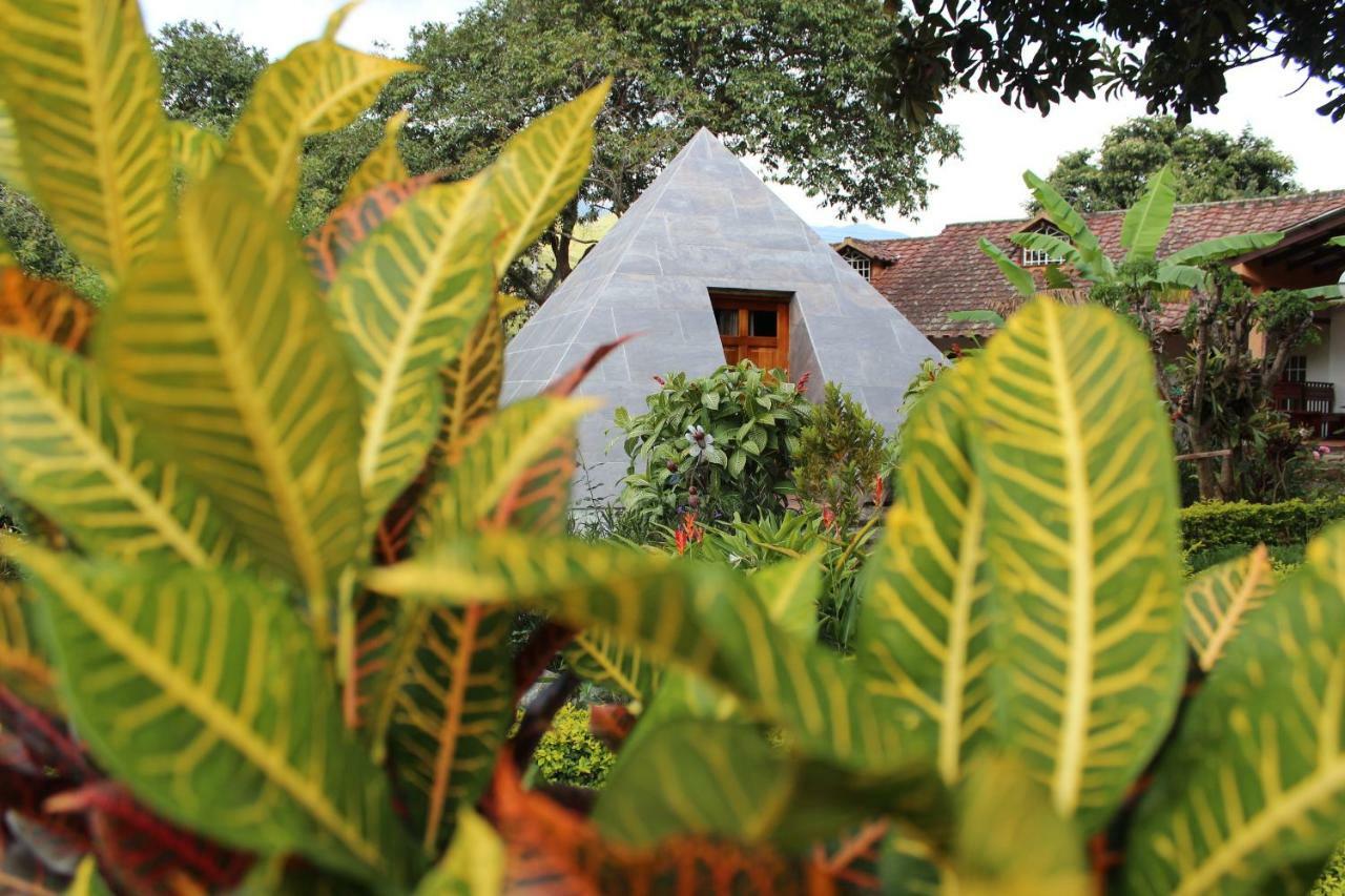 Hosteria Paraiso Vilcabamba Dış mekan fotoğraf
